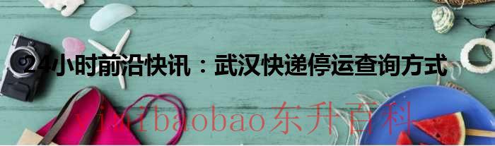 24小时前沿快讯：武汉快递停运查询方式
