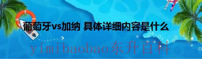 葡萄牙vs加纳 具体详细内容是什么