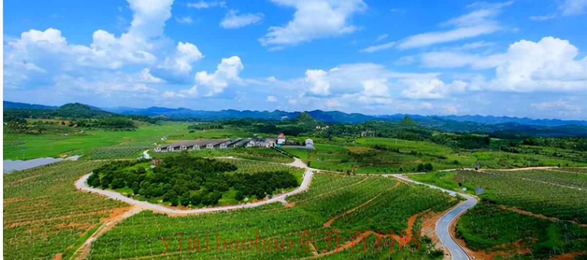 十八洞村隶属于湖南省什么地方（十八洞村景区）