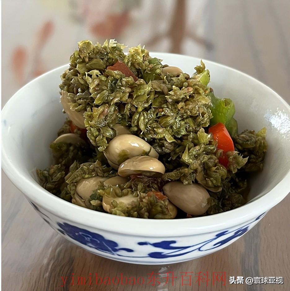 内蒙古突泉县属于什么市（辽宁的辽阳与内蒙古突泉县相隔千里，为什么两地如此“密切”）
