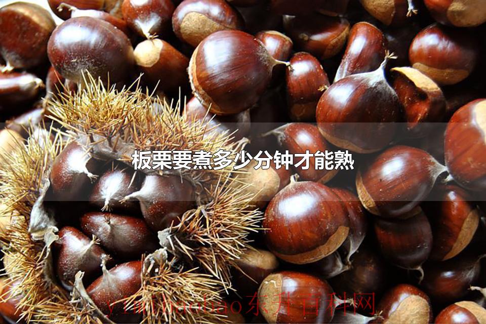 板栗要煮多少分钟才能熟 煮栗子冷水下锅还是热水