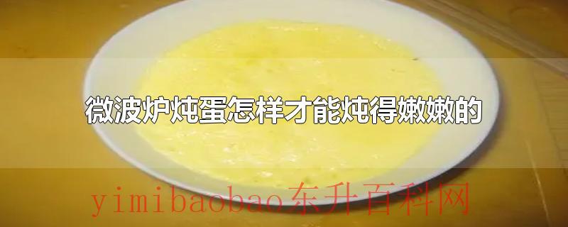 微波炉炖蛋怎样才能炖得嫩嫩的
