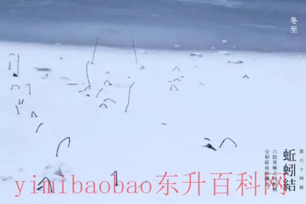 冬至民俗有哪些呢（冬至到，这些冬至习俗你知道吗？）