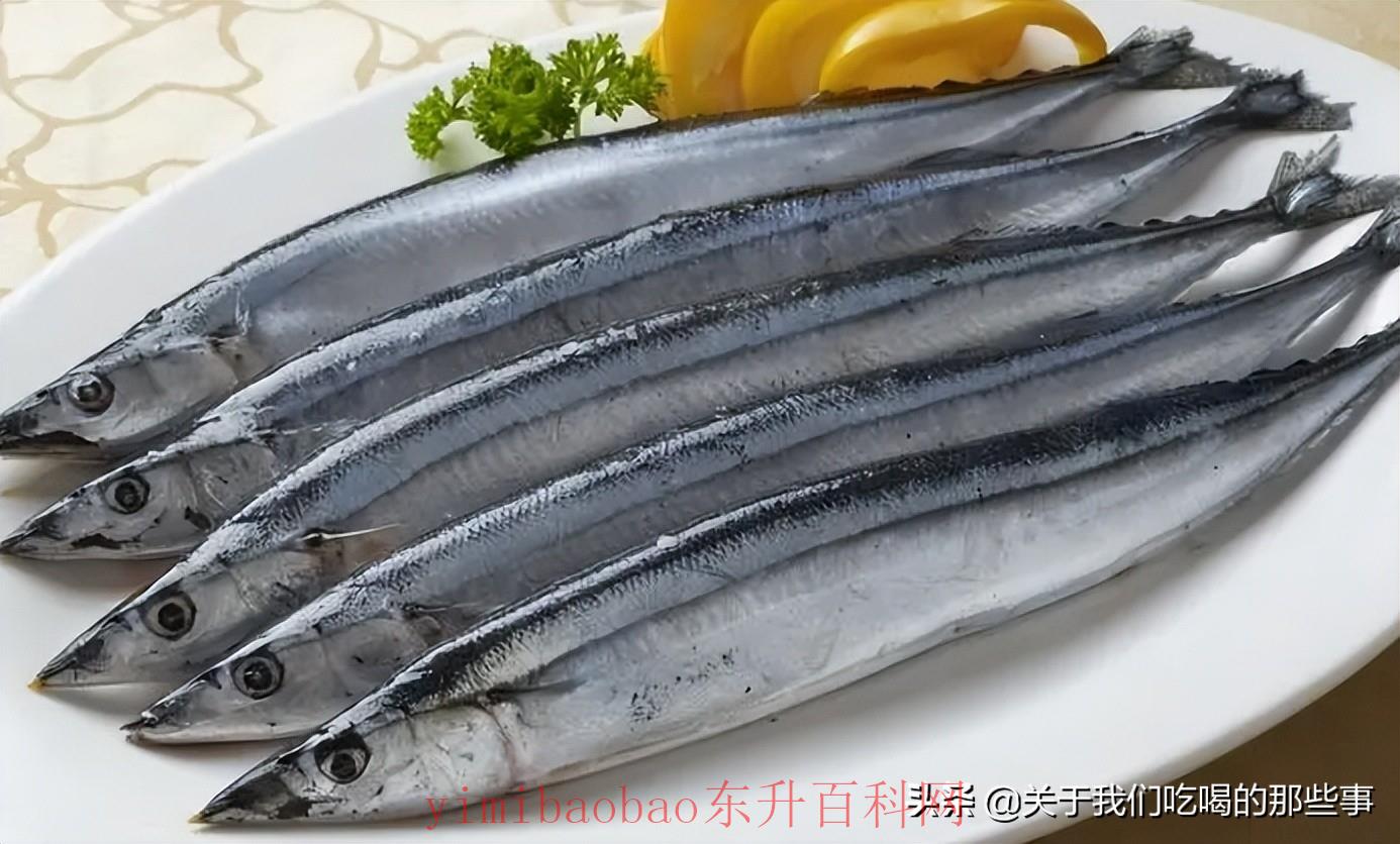 海鱼有哪些好吃的（买鱼时，这4种是野生海鱼，好吃营养）