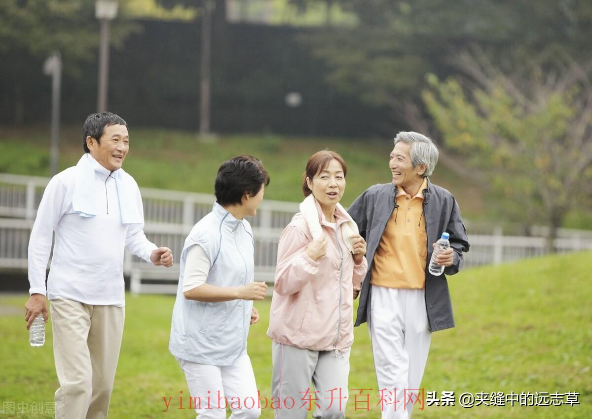 脂肪肝吃什么药（脂肪肝？送你七味中药，清热利湿，健脾祛痰）