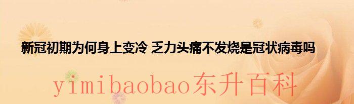 关于新冠初期为何身上变冷 乏力头痛不发烧是冠状病毒吗具体来龙去脉