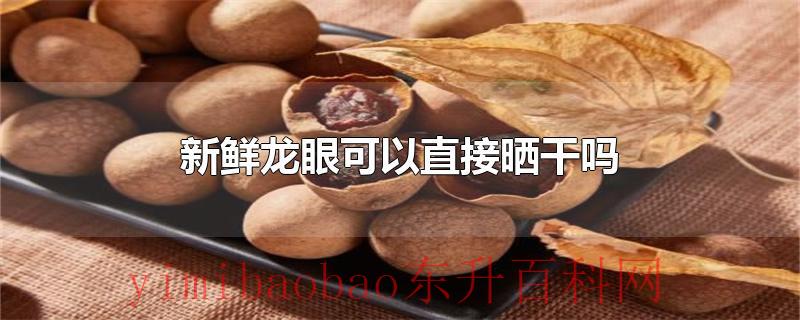 新鲜龙眼可以直接晒干吗