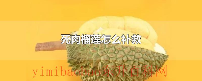 死肉榴莲怎么补救
