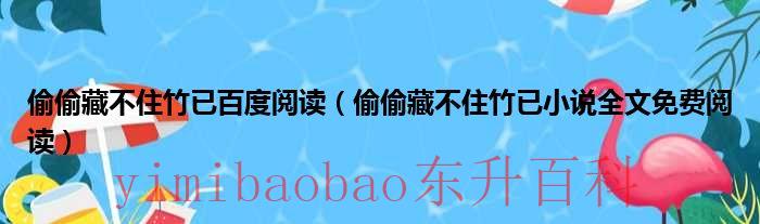 偷偷藏不住竹已百度阅读（偷偷藏不住竹已小说全文免费阅读）