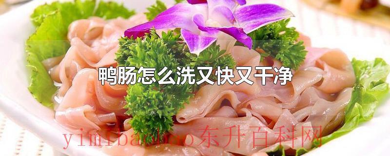 鸭肠怎么洗又快又干净
