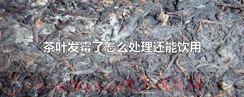 茶叶发霉了怎么处理还能饮用