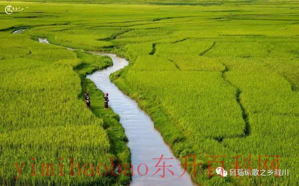 陇川县属于哪个市(德宏陇川：“太阳照耀的地方”)