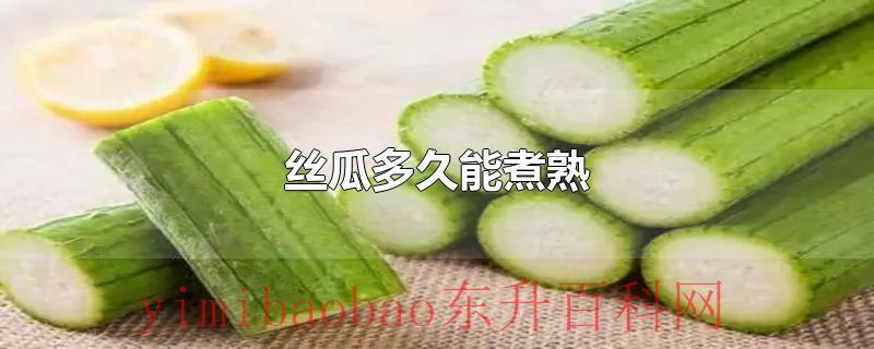 丝瓜多久能煮熟