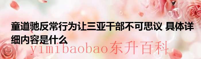 童道驰反常行为让三亚干部不可思议 具体详细内容是什么