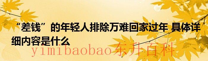 “差钱”的年轻人排除万难回家过年 具体详细内容是什么