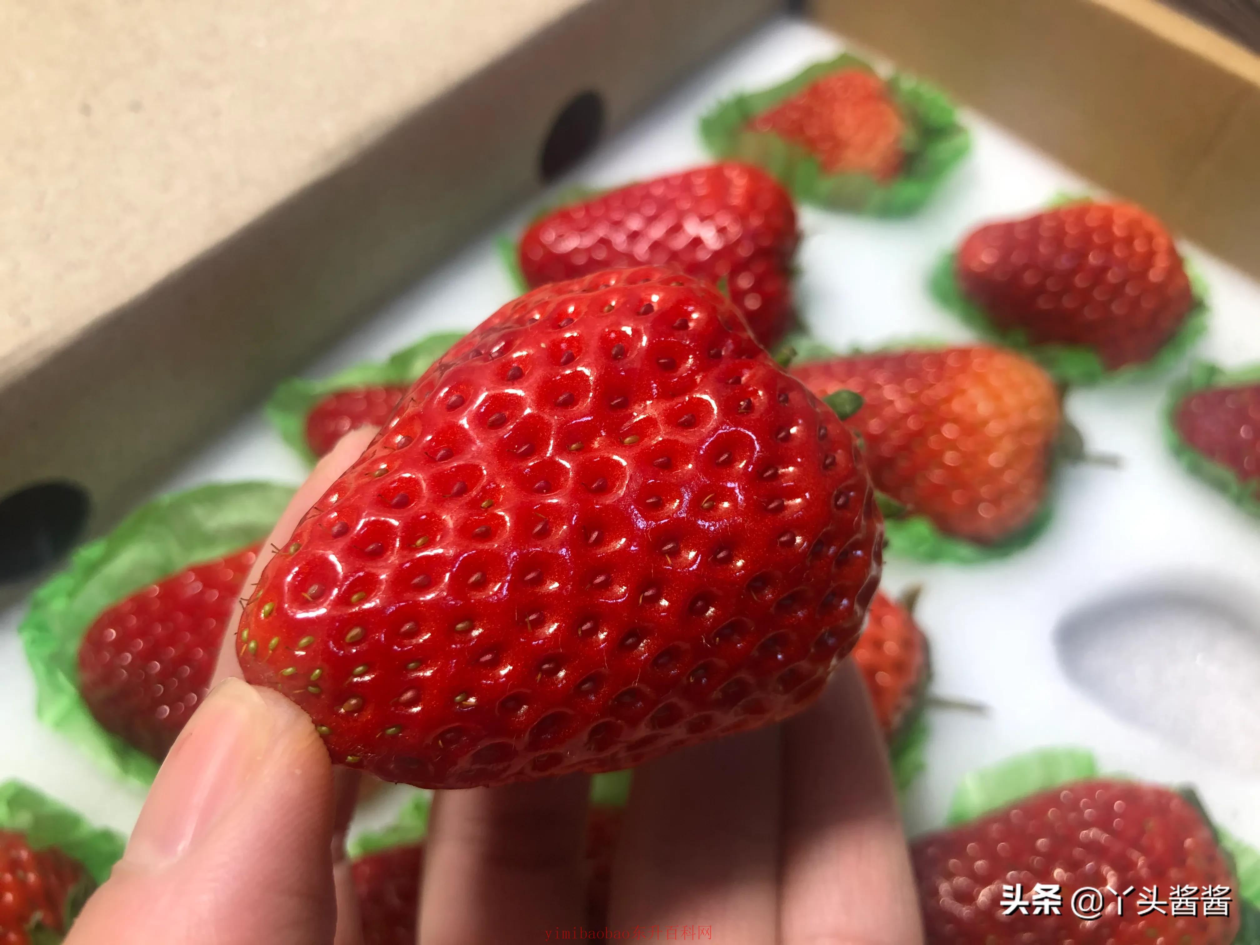 草莓怎么洗才干净又好吃（‬洗草莓时，直接用水冲就错了，多加2样，草莓洗的干净又好吃）