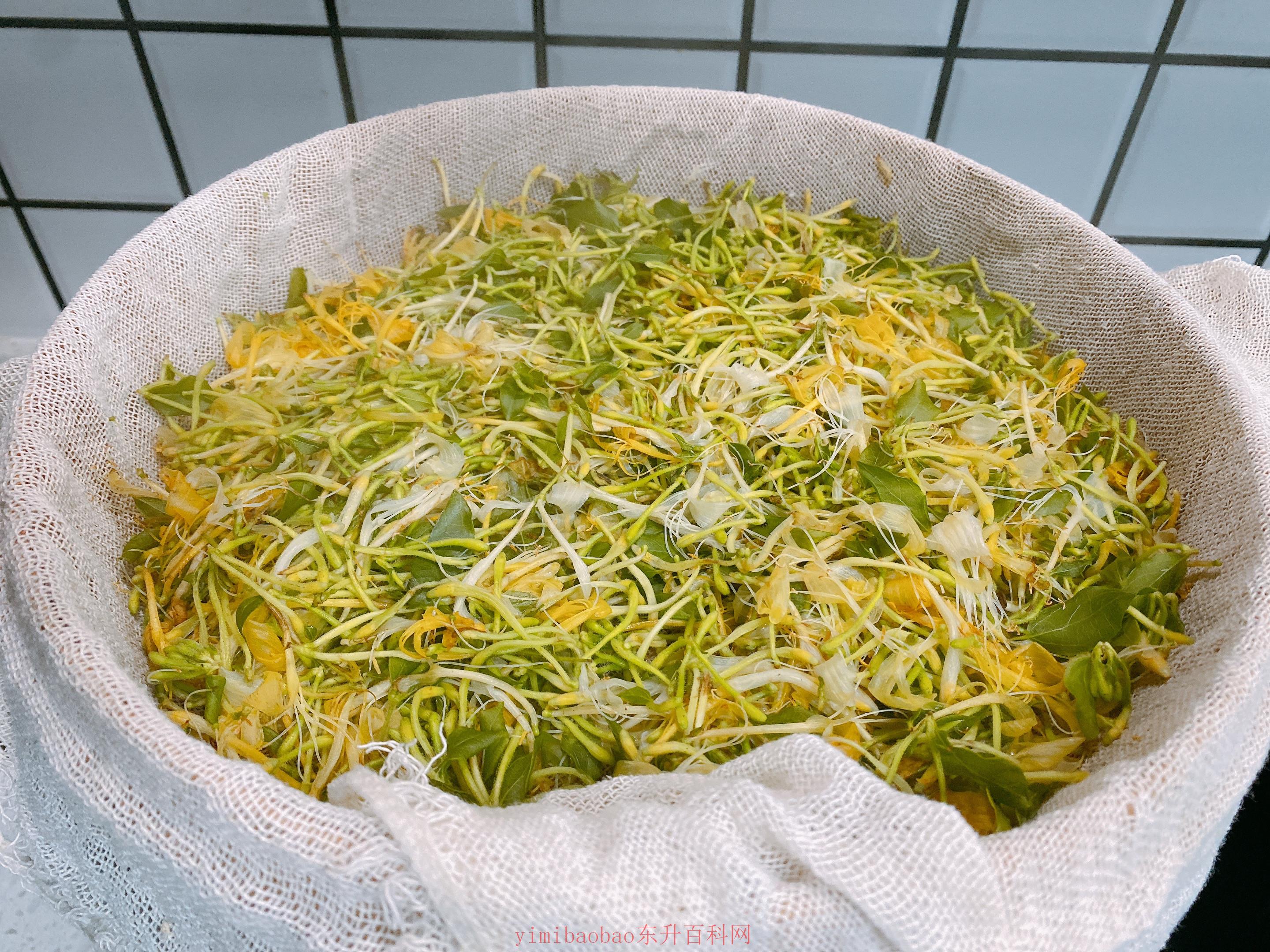 金银花茶的制作方法（自制金银花茶简单3步1分钟学会，做一次保存一年）