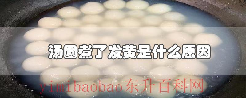 汤圆煮了发黄是什么原因
