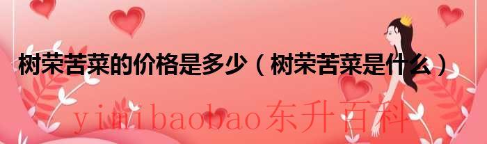 树荣苦菜的价格是多少（树荣苦菜是什么）