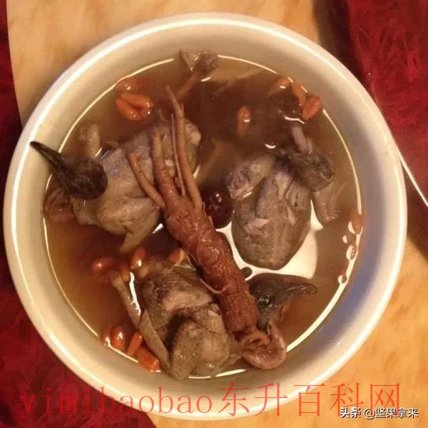 斑鸠和鸽子有什么区别 农村为啥斑鸠少了，鸽子多了？