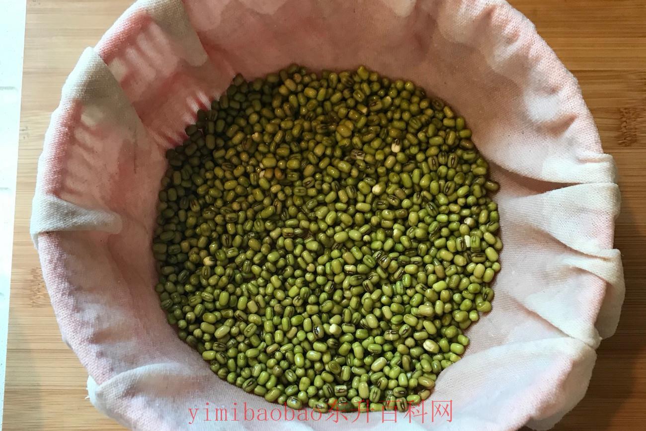 自家发绿豆芽的方法 在家自发绿豆芽，不用土壤不用肥料，3天就能吃，营养脆嫩又卫生