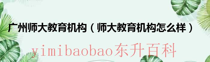 广州师大教育机构（师大教育机构怎么样）