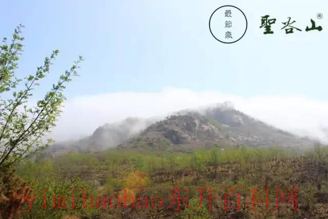桃月是几月 桃月·季春