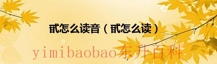 甙怎么读音（甙怎么读）