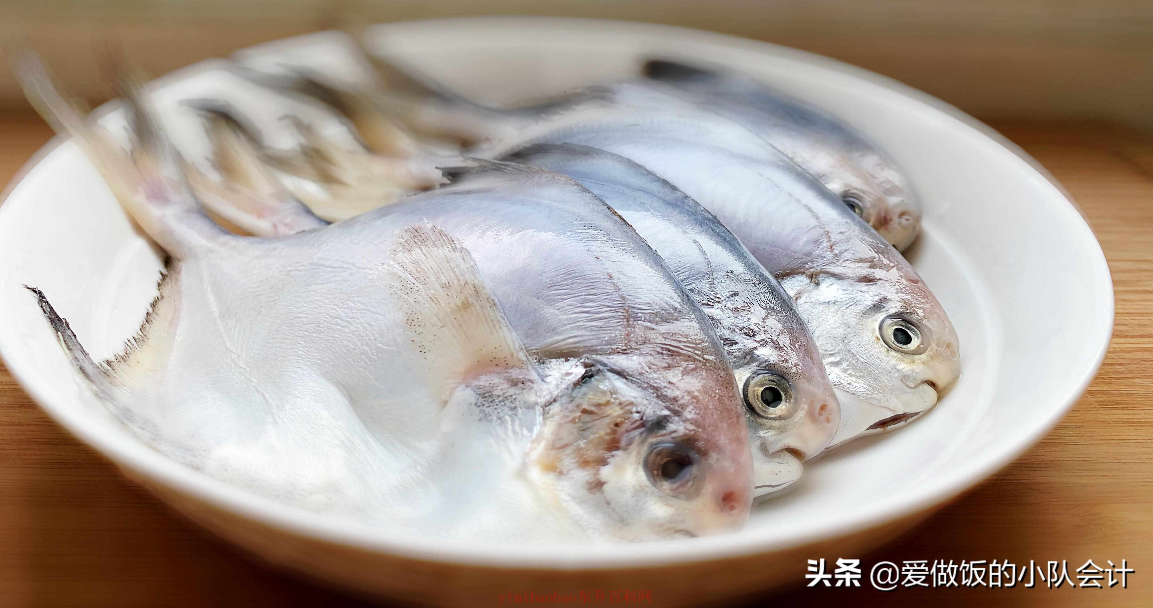 鲳鱼怎么处理干净 鲳鱼怎么处理？不能只用水洗，牢记5点，干净无腥味