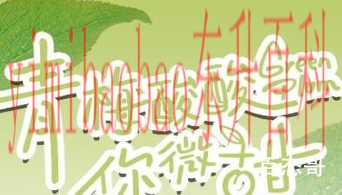青梅酸酸你微甜更新日期表