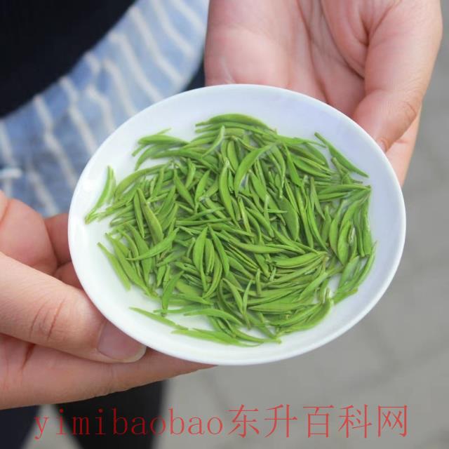 毛尖怎样泡好喝 信阳毛尖如何冲泡？这样做才能尽显茶韵