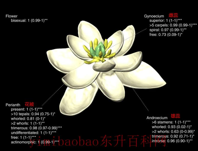 蝴蝶有什么特点 蝴蝶为什么喜欢吸花蜜？