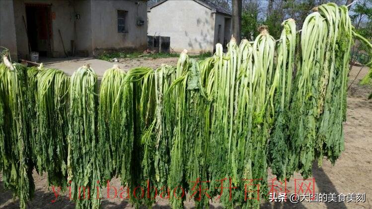 腊菜怎么做好吃？一招教你腌制成美味的咸菜，配肉炒特别香