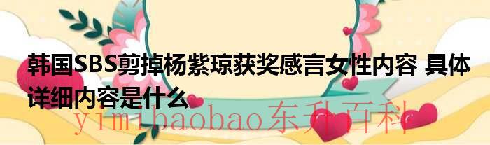 韩国SBS剪掉杨紫琼获奖感言女性内容 具体详细内容是什么