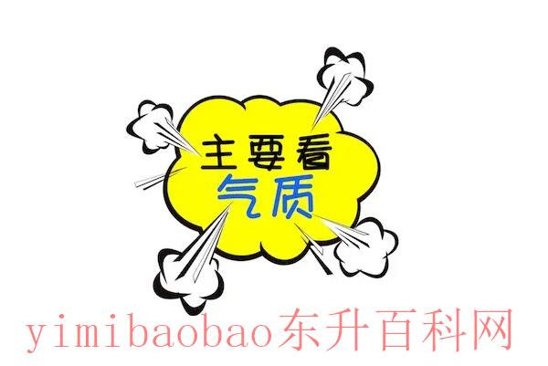 主要是气质是什么梗?自我评价 出自歌手王心凌