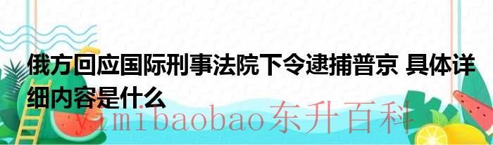 俄方回应国际刑事法院下令逮捕普京 具体详细内容是什么