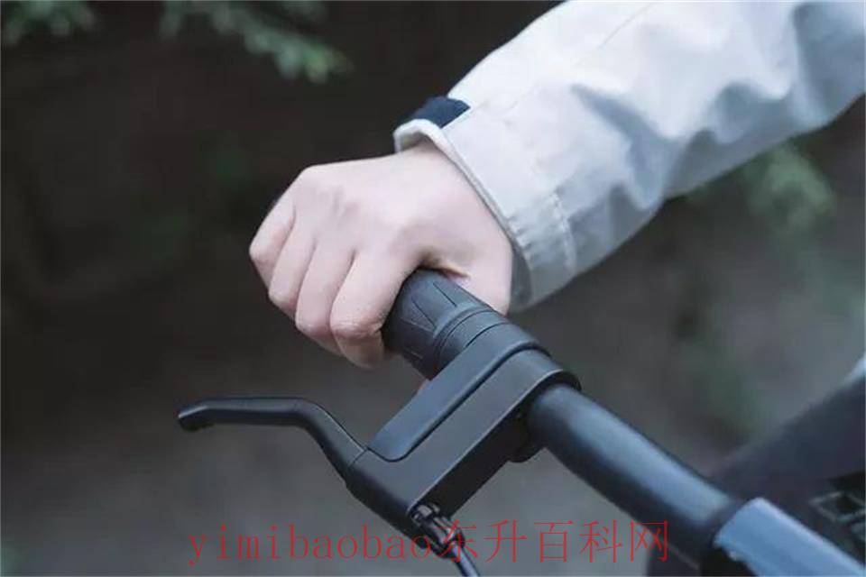 0基础学骑自行车最快方法