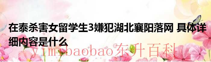 在泰杀害女留学生3嫌犯湖北襄阳落网 具体详细内容是什么