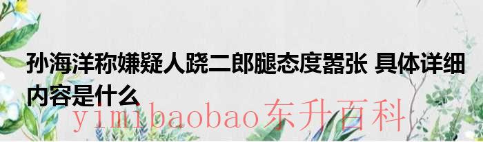 孙海洋称嫌疑人跷二郎腿态度嚣张 具体详细内容是什么