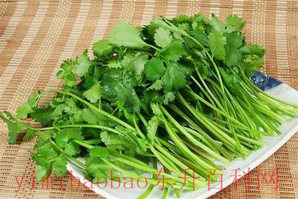 饕鬄是什么意思怎么读?tāo tiè(传说中的凶猛野兽)