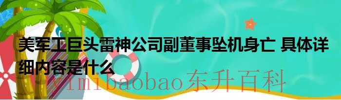 美军工巨头雷神公司副董事坠机身亡 具体详细内容是什么