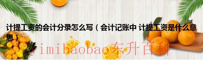 计提工资的会计分录怎么写（会计记账中 计提工资是什么意思）