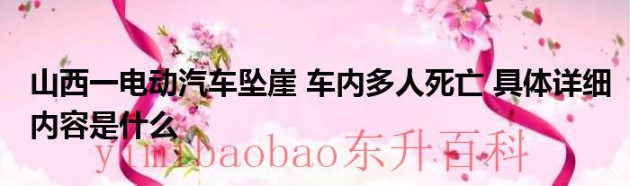 小伙骑电动车（山西骑电动车男子砸死妻子）