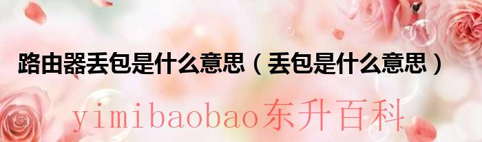 路由器丢包严重 路由器丢包100%
