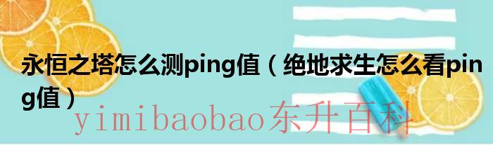 永恒之塔怎么测试ping 永恒之塔怎么测ping值的