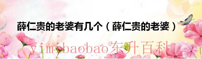 薛仁贵与妻子 薛仁贵的老婆等了多少年