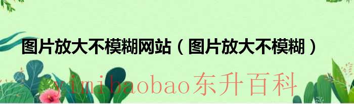 图片放大就不清晰了怎么办 图片放大不会模糊是什么格式