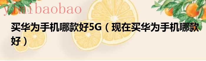 华为哪款5g手机好（华为哪款5g手机最值得入手）