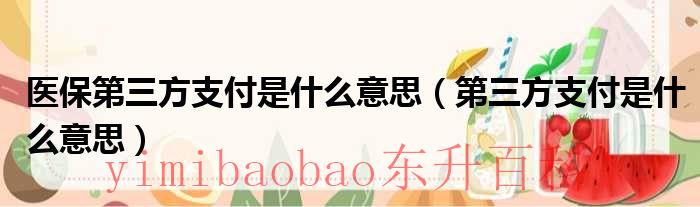 医保第三方支付是什么意思 医保第三方什么意思