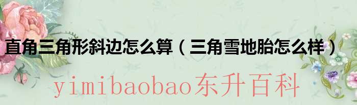 直角三角形斜边中线定理 直角三角形斜边怎么算长度